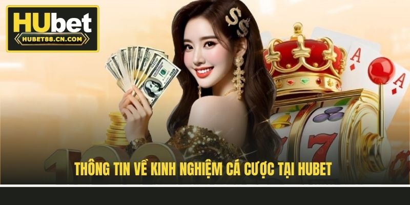 Thông tin về kinh nghiệm cá cược tại Hubet Thông tin về kinh nghiệm cá cược tại Hubet