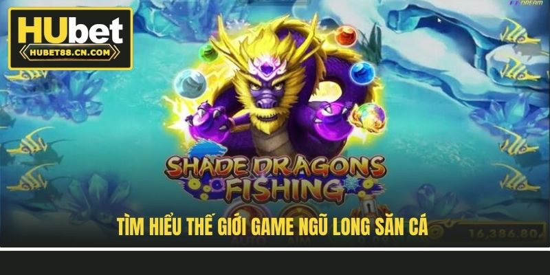 Tìm hiểu thế giới game Ngũ Long Săn Cá Tìm hiểu thế giới game Ngũ Long Săn Cá